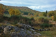 gljive primorje